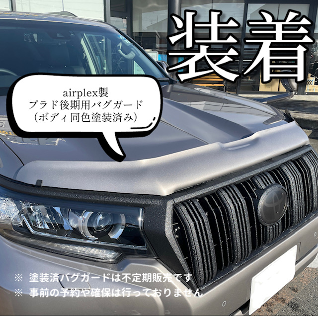 手軽にカスタマイズ！ airplex製バグガード 取り付けてみました🔧 - RV-Parkブログ