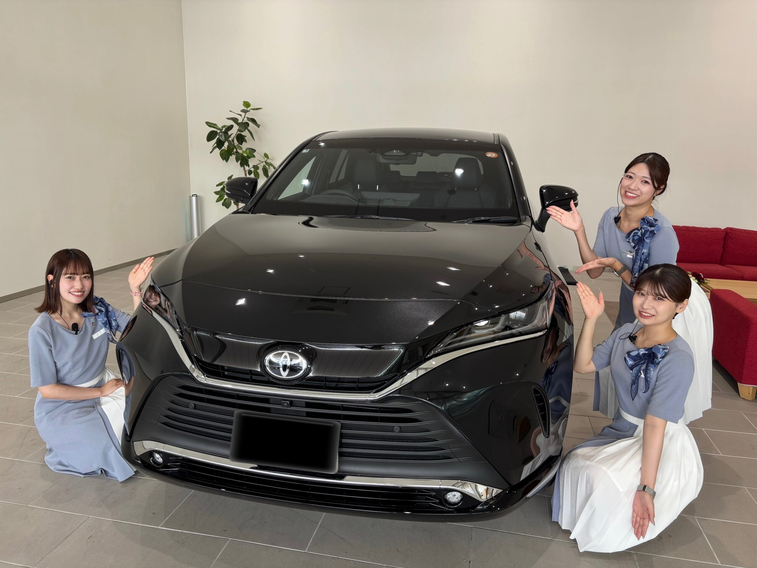 新型ハリアー　特別仕様車