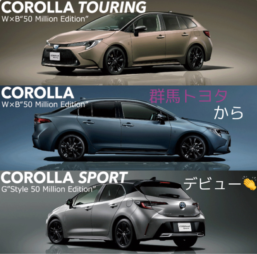 トヨタ カローラ10ミリオン記念 - 車外アクセサリー