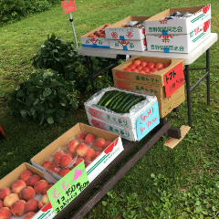 地物のおいしい野菜です。