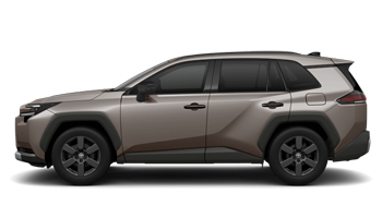 車種のコメント