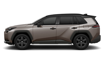 車種のコメント