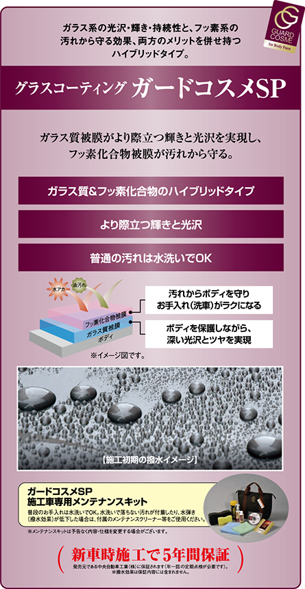 10セット ガードコスメSP 自動車ボディガラスコーティング CPC 